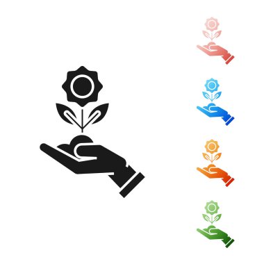 Siyah El beyaz arka planda izole edilmiş çiçek ikonu tutuyor. Tohum ve tohum. Fidan dikiyorum. Ekoloji konsepti. Simgeleri renklendirin. Vektör İllüstrasyonu
