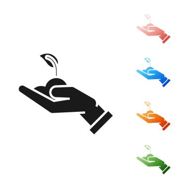 Beyaz arka plan üzerinde izole çevre koruma simgesi elinde Siyah Filiz. Tohum ve fide. Fidan dikimi. Ekoloji kavramı. Simgeleri renkli ayarlayın. Vektör İllüstrasyonu