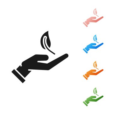 Beyaz arka plan üzerinde izole çevre koruma simgesi elinde Siyah Filiz. Tohum ve fide. Fidan dikimi. Ekoloji kavramı. Simgeleri renkli ayarlayın. Vektör İllüstrasyonu