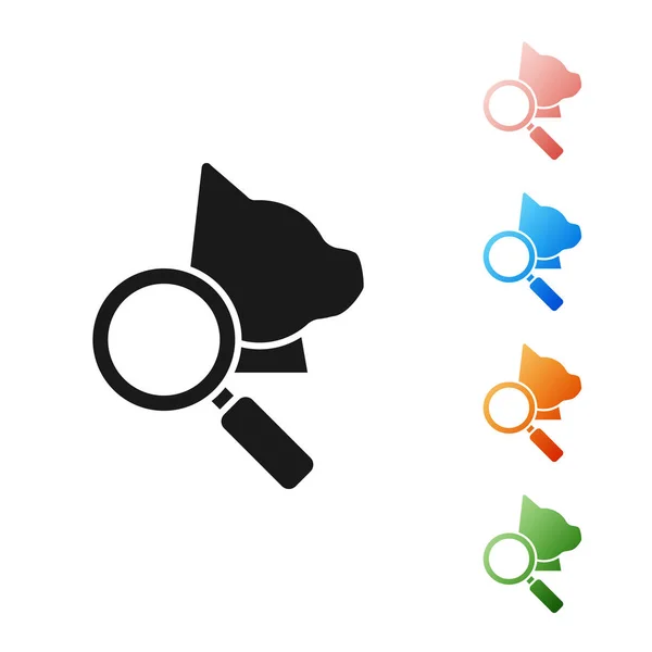 Black Veterinary clinic symbol icon isolated on white background. Magnifying glass with cat veterinary care. Pet First Aid sign. Set icons colorful. Vector Illustration — Stock Vector