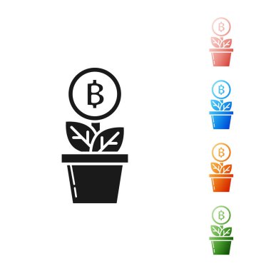 Siyah Bitcoin bitki saksı simgesi beyaz arka plan üzerinde izole. İş yatırımı büyümesi. Blockchain teknolojisi, kripto para madenciliği. Simgeleri renkli ayarlayın. Vektör İllüstrasyonu