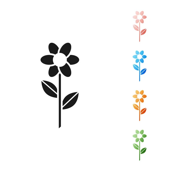 Zwarte Bloem pictogram geïsoleerd op witte achtergrond. Stel pictogrammen kleurrijk. Vector Illustratie — Stockvector