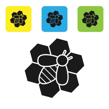 Siyah Arı ve petek simgesi beyaz arka plan üzerinde izole. Bal hücreleri. Bal arısı veya kanat sembolü ile apis. Uçan böcek. Tatlı doğal yemekler. Simgeleri renkli kare düğmeleri ayarlayın. Vektör İllüstrasyonu