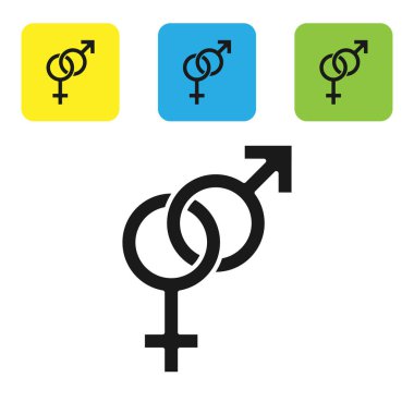 Siyah Cinsiyet simgesi beyaz arka planda yalıtılmış. Kadın ve erkeğin sembolleri. Seks sembolü. Simgeleri renkli kare düğmeleri ayarlayın. Vektör İllüstrasyonu