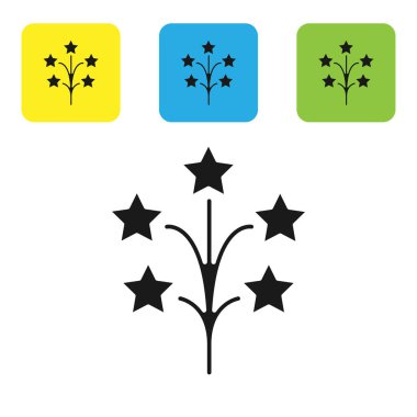 Siyah Havai fişek simgesi beyaz arka planda izole. Eğlenceli parti kavramı. Patlayıcı piroteknik sembol. Simgeleri renkli kare düğmeleri ayarlayın. Vektör İllüstrasyonu