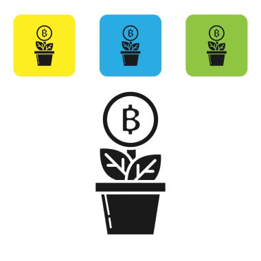 Siyah Bitcoin bitki saksı simgesi beyaz arka plan üzerinde izole. İş yatırımı büyümesi. Blockchain teknolojisi, kripto para madenciliği. Simgeleri renkli kare düğmeleri ayarlayın. Vektör İllüstrasyonu