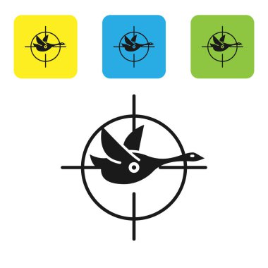 Siyah Hunt beyaz arka plan üzerinde izole artı işareti simgesi ile ördek üzerinde. Ördek ve hedef ile Avcılık kulübü logosu. Tüfek lensi bir ördeği hedef almış. Simgeleri renkli kare düğmeleri ayarlayın. Vektör İllüstrasyonu