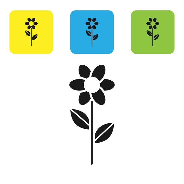 Black Flower icon isolated on white background. Set icons colorful square buttons. Vector Illustration