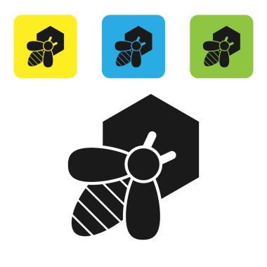 Siyah Arı ve petek simgesi beyaz arka plan üzerinde izole. Bal hücreleri. Bal arısı veya kanat sembolü ile apis. Uçan böcek. Tatlı doğal yemekler. Simgeleri renkli kare düğmeleri ayarlayın. Vektör İllüstrasyonu