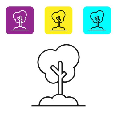 Beyaz arka planda yalıtılmış zemin simgesindeki siyah çizgi Ağacı. Orman sembolü. Simgeleri renkli kare düğmeleri ayarlayın. Vektör İllüstrasyonu