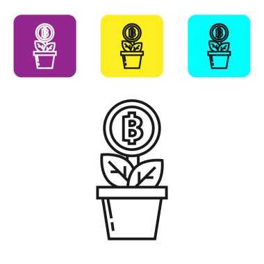 Siyah çizgi Bitcoin tesisi beyaz arka plan üzerinde pot simgesi. İş yatırımı büyümesi. Blockchain teknolojisi, kripto para madenciliği. Simgeleri renkli kare düğmeleri ayarlayın. Vektör İllüstrasyonu
