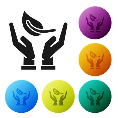 Siyah Sprout elinde çevre koruma simgesi beyaz arka planda izole. Tohum ve fide. Fidan dikmek. Ekoloji konsepti. Simgeler renkli daire düğmelerini ayarlayın. Vektör Illustration