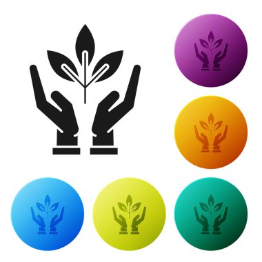 Beyaz arka planda izole çevresel koruma simgesi elinde siyah bitki. Tohum ve fide. Fidan dikmek. Ekoloji konsepti. Simgeler renkli daire düğmelerini ayarlayın. Vektör Illustration