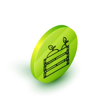 Beyaz arka plan üzerinde izole meyve ve sebze simgesi için izometrik çizgi Ahşap kutu. Yeşil daire düğmesi. Vektör İllüstrasyonu