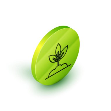 İzometrik çizgi Beyaz arka plan üzerinde izole bitki simgesi. Tohum ve fide. Yaprak işareti. Yaprak doğası. Yeşil daire düğmesi. Vektör İllüstrasyonu