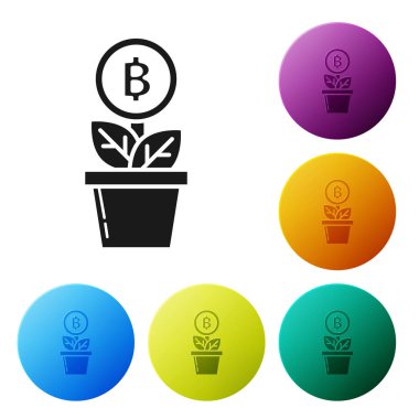 Siyah Bitcoin bitki saksı simgesi beyaz arka plan üzerinde izole. İş yatırımı büyümesi. Blockchain teknolojisi, kripto para madenciliği. Simgeleri renkli daire düğmeleri ayarlayın. Vektör İllüstrasyonu