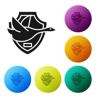 Beyaz arka planda izole kalkan simgesi üzerinde Siyah Uçan ördek. Duvarda av ganimeti. Simgeleri renkli daire düğmeleri ayarlayın. Vektör İllüstrasyonu