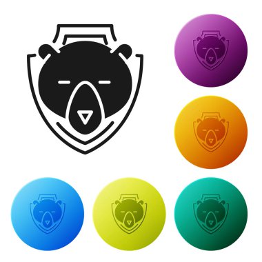 Beyaz arka planda izole kalkan simgesi üzerinde Siyah Ayı baş. Duvarda av ganimeti. Simgeleri renkli daire düğmeleri ayarlayın. Vektör İllüstrasyonu