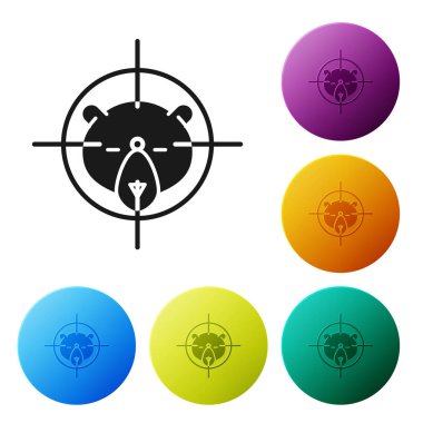 Beyaz arka planda izole artı işareti simgesi ile ayı üzerinde Siyah Hunt. Ayı ve hedef ile Avcılık kulübü logosu. Tüfek merceği bir ayıyı hedef almış. Simgeleri renkli daire düğmeleri ayarlayın. Vektör İllüstrasyonu