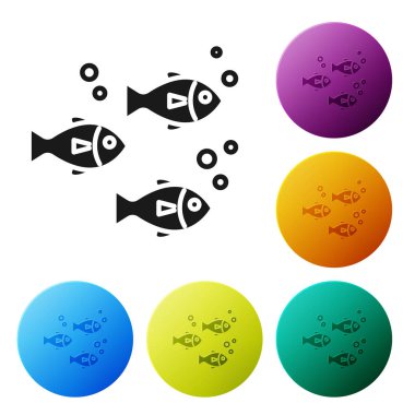 Siyah balık simgesi beyaz arka planda izole. Simgeler renkli daire düğmelerini ayarlayın. Vektör Illustration