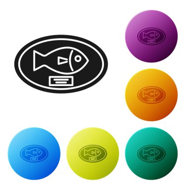 Siyah Balık kupa tahta simgesi beyaz arka plan üzerinde izole asılı. Duvarda balık avı ganimeti. Simgeleri renkli daire düğmeleri ayarlayın. Vektör İllüstrasyonu