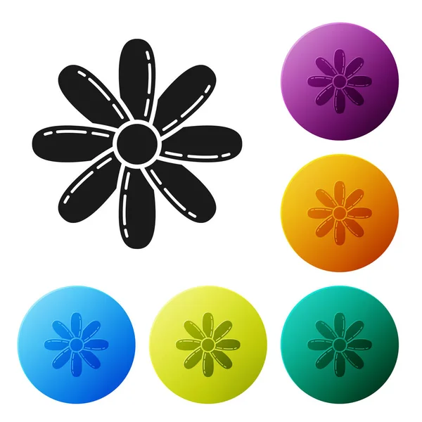 Black Flower icon isolated on white background. Sweet natural food. Set icons colorful circle buttons. Vector Illustration — Stock Vector