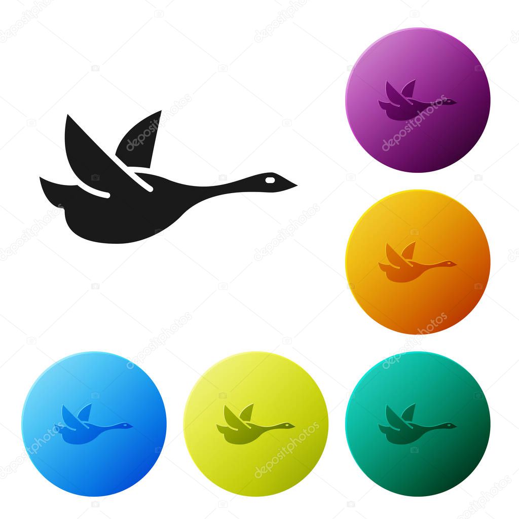 Black Flying duck icon isolated on white background. Set icons colorful circle buttons. Vector Illustration