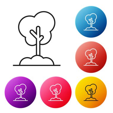 Beyaz arka planda yalıtılmış zemin simgesindeki siyah çizgi Ağacı. Orman sembolü. Simgeleri renkli daire düğmeleri ayarlayın. Vektör İllüstrasyonu