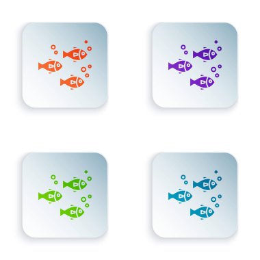 Beyaz arka planda yalıtılmış Renkli Balık simgesi. Simgeleri renkli kare düğmelere ayarlayın. Vektör İllüstrasyonu