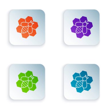 Beyaz arka planda izole renk Arı ve petek simgesi. Bal hücreleri. Bal arısı veya kanat sembolü ile apis. Uçan böcek. Tatlı doğal yemekler. Simgeleri renkli kare düğmelere ayarlayın. Vektör İllüstrasyonu