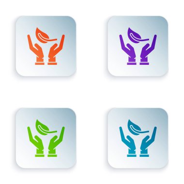 Renk Sprout elinde çevre koruma simgesi beyaz arka planda izole. Tohum ve fide. Fidan dikmek. Ekoloji konsepti. Renkli kare düğmeleri simgeleri ayarlayın. Vektör Illustration