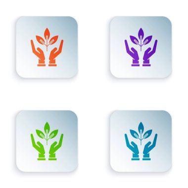 Beyaz arka planda izole çevre koruma simgesi elinde renk tesisi. Tohum ve fide. Fidan dikmek. Ekoloji konsepti. Renkli kare düğmeleri simgeleri ayarlayın. Vektör Illustration
