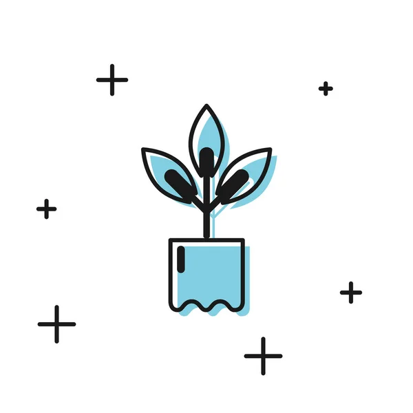 Schwarze Pflanze in Flaschensymbol isoliert auf weißem Hintergrund. Samen und Sämlinge. Blätter Zeichen. Blatt Natur. Vektorillustration — Stockvektor