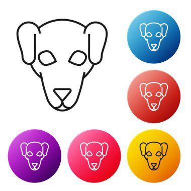 Siyah çizgi Avcılık köpek simgesi beyaz arka plan üzerinde izole. Simgeleri renkli daire düğmeleri ayarlayın. Vektör İllüstrasyonu