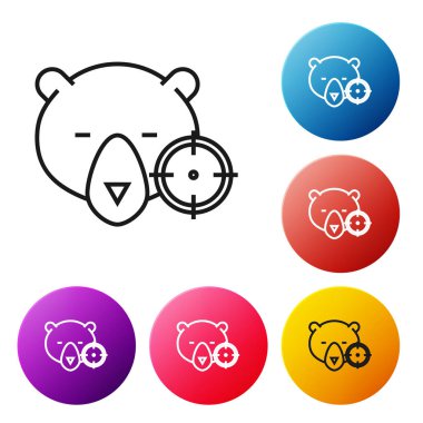 Beyaz arka planda izole artı işareti simgesi ile ayı üzerinde Siyah çizgi Hunt. Ayı ve hedef ile Avcılık kulübü logosu. Tüfek merceği bir ayıyı hedef almış. Simgeleri renkli daire düğmeleri ayarlayın. Vektör İllüstrasyonu