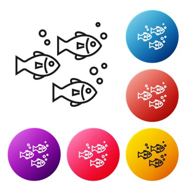 Siyah çizgi Balık simgesi beyaz arka plan üzerinde izole. Simgeleri renkli daire düğmeleri ayarlayın. Vektör İllüstrasyonu