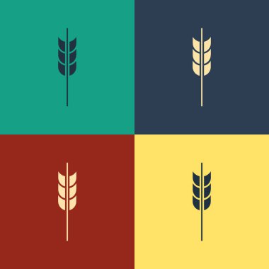 Renkli Tahıllar pirinç, buğday, mısır, yulaf, çavdar, arpa simgesi renk arka plan izole ile ayarlayın. Buğday ekmeği sembolleri kulakları. Vintage tarzı çizim. Vektör İllüstrasyonu