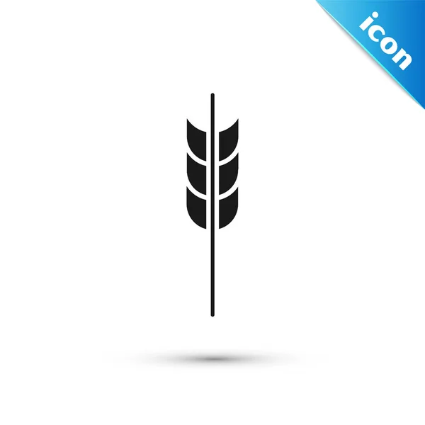 Cereales negros con arroz, trigo, maíz, avena, centeno, cebada icono aislado sobre fondo blanco. Orejas de pan de trigo símbolos. Ilustración vectorial — Archivo Imágenes Vectoriales