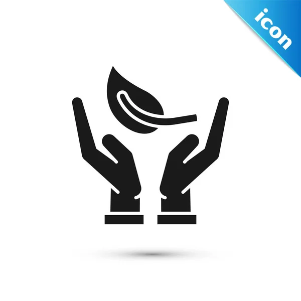 Fekete Sprout a kezében környezetvédelmi ikon elszigetelt fehér háttérben. Vetőmag és csemete. Ültetés csemete. Ökológia koncepció. Vektoros illusztráció — Stock Vector