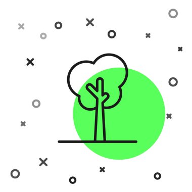 Beyaz arkaplanda siyah çizgi ağaç simgesi izole edildi. Orman sembolü. Vektör İllüstrasyonu