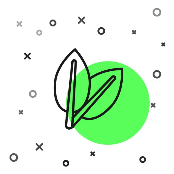 Linha preta Ícone de folhas isolado no fundo branco. Símbolo de produto natural fresco. Ilustração vetorial — Vetor de Stock