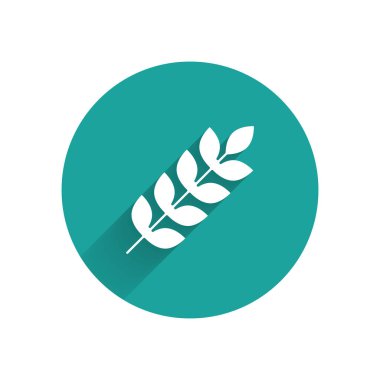 Pirinç, buğday, mısır, yulaf, çavdar ve uzun gölgeli arpa ikonu. Buğday ekmeği sembolleri. Yeşil daire düğmesi. Vektör İllüstrasyonu