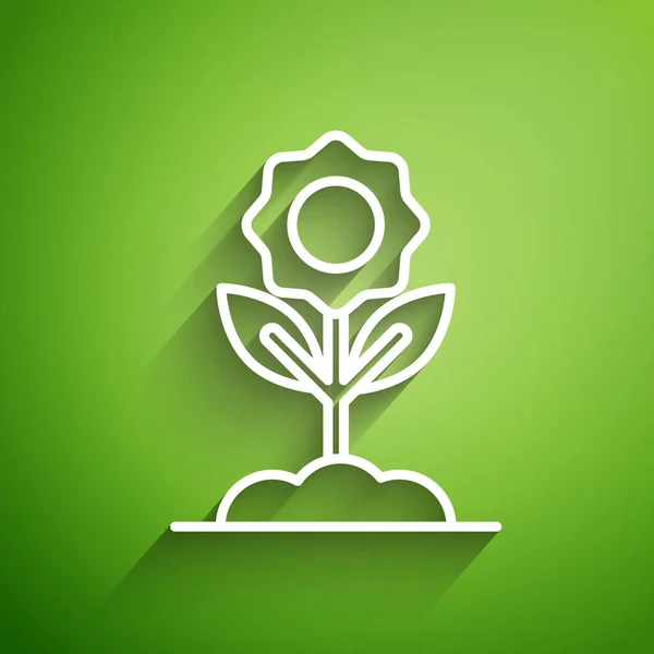 Linha branca ícone Flor isolado no fundo verde. Ilustração vetorial — Vetor de Stock