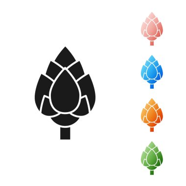 Siyah Hop simgesi beyaz arkaplanda izole edildi. Simgeleri renklendirin. Vektör İllüstrasyonu