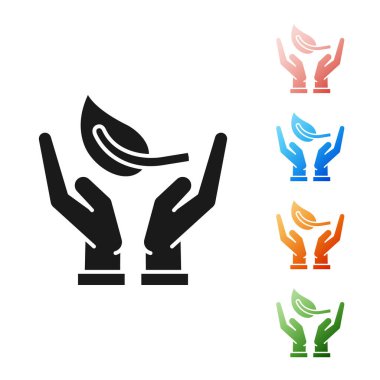 Beyaz arka plan üzerinde izole çevre koruma simgesi elinde Siyah Filiz. Tohum ve fide. Fidan dikimi. Ekoloji kavramı. Simgeleri renkli ayarlayın. Vektör İllüstrasyonu