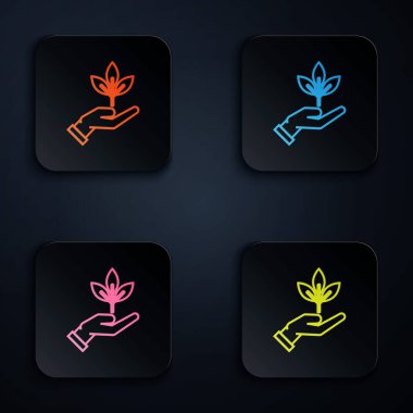 Renkli neon hattı. Beyaz arka planda çevre koruma ikonu var. Tohum ve tohum. Fidan dikiyorum. Ekoloji konsepti. Renkli kare düğmelere simgeleri yerleştir. Vektör İllüstrasyonu