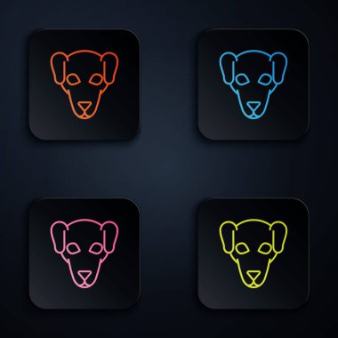 Renkli neon hattı beyaz arka planda köpek ikonu avlıyor. Renkli kare düğmelere simgeleri yerleştir. Vektör İllüstrasyonu