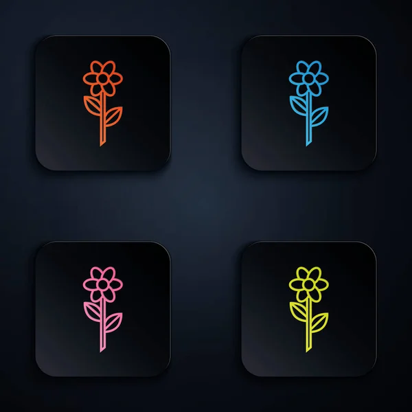 Color línea de neón Icono de flor aislado sobre fondo blanco. Establecer iconos en botones cuadrados de colores. Ilustración vectorial — Archivo Imágenes Vectoriales