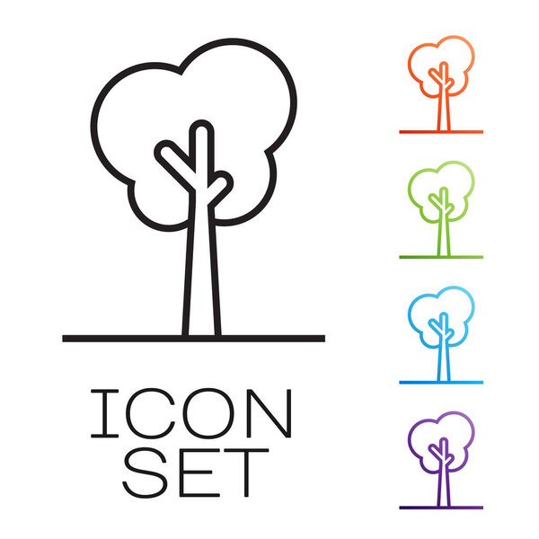 Черная линия Дерево значок изолирован на белом фоне. Символ леса. Набор иконок красочный. Векторная миграция
