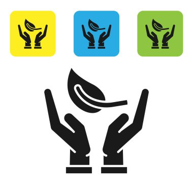 Siyah Sprout elinde çevre koruma simgesi beyaz arka planda izole. Tohum ve fide. Fidan dikmek. Ekoloji konsepti. Set simgeleri renkli kare düğmeler. Vektör Illustration